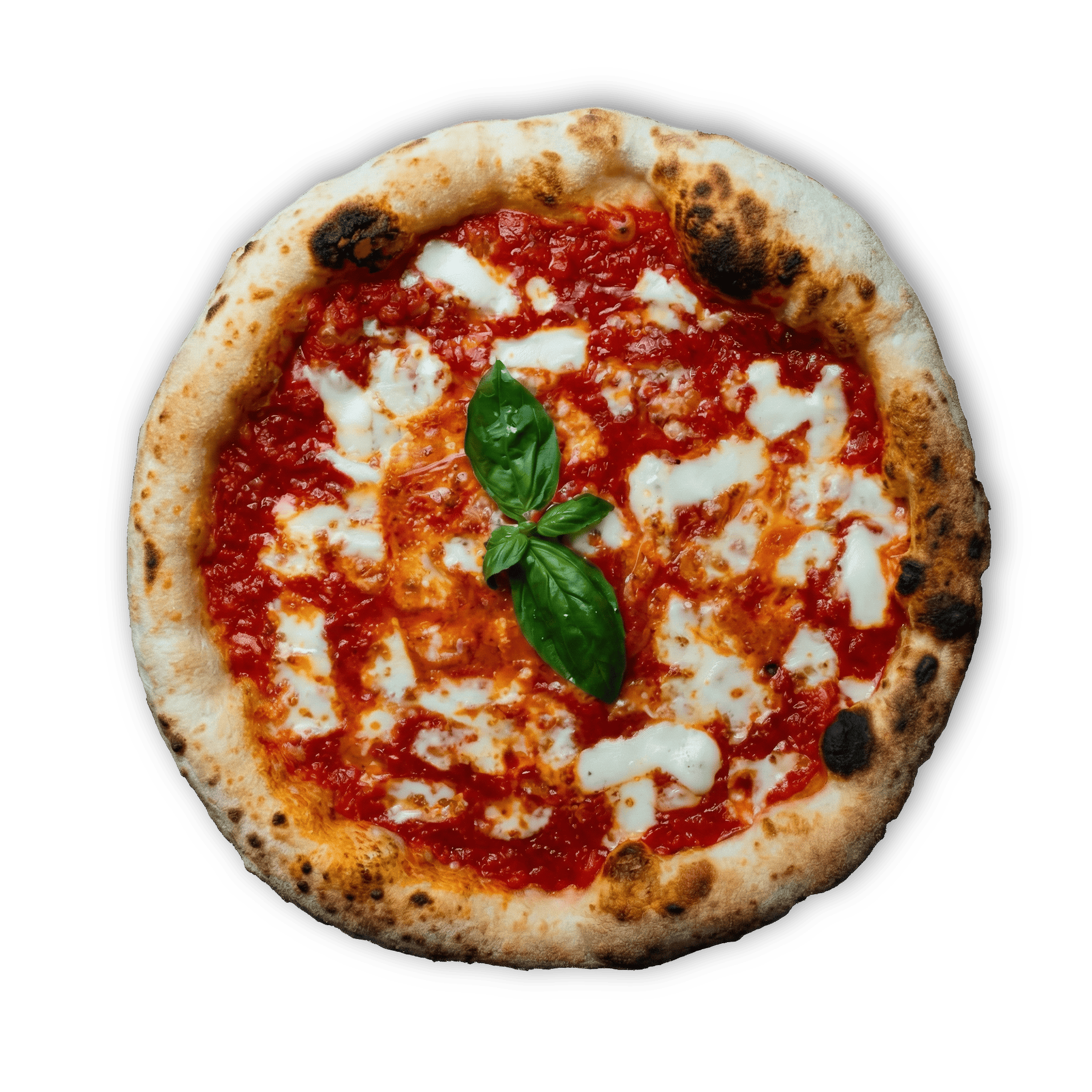 1767801531984_a_regina Pizza 'A Regina, la margherita surgelata Pizza Over con fior di latte e basilico