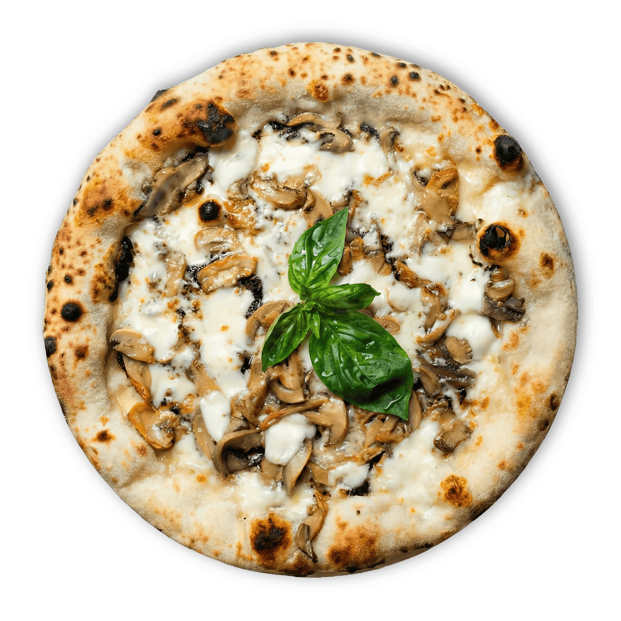 zi_gaetano Pizza Zi' Gaetano surgelata, bianca con funghi champignon e tartufo